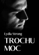 Trochu moc (e-kniha)