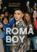 Roma boy (e-kniha)