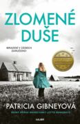 Inspektorka Lottie Parkerová 7: Zlomené duše (e-kniha)