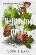 Nelítostný princ (e-kniha)