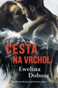 Cesta na vrchol (e-kniha)