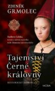 Tajemství Černé královny (e-kniha)