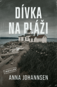 Dívka na pláži (e-kniha)