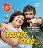 Slunce, seno... (e-kniha)