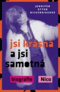 Jsi krásná a jsi samotná (e-kniha)