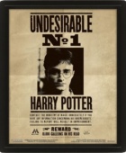 Harry Potter: Obraz 3D - Sirius Black