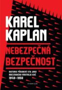 Nebezpečná bezpečnost (e-kniha)