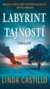 Labyrint tajností (e-kniha)