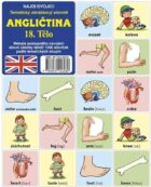 Najdi dvojici - Angličtina - 18. Tělo