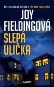 Slepá ulička (e-kniha)