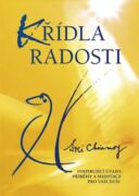 Křídla radosti (e-kniha)