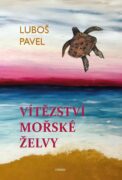 Vítězství mořské želvy