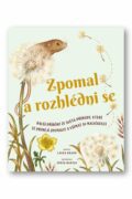 Zpomal a rozhlédni se