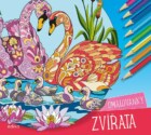 Zvířata – omalovánky