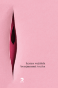 Bezejmenná touha (e-kniha)