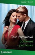 Software pro lásku (e-kniha)