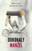 Dokonalý manžel (e-kniha)