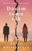 Dávám tomu rok (e-kniha)