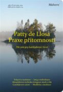 Praxe přítomnosti - Pět cest pro každodenní život: Tchaj-ťi a taoismus, Jung a individuace, Alexande