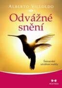 Odvážné snění (e-kniha)