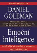 Emoční inteligence (e-kniha)