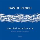 Chytání velkých ryb - Meditace, vědomí a kreativita