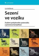 Sezení ve vozíku (e-kniha)