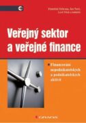 Veřejný sektor a veřejné finance (e-kniha)