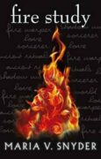 Fire Study