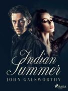 Indian Summer (e-kniha)
