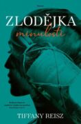 Zlodějka minulosti (e-kniha)