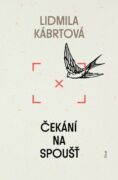 Čekání na spoušť (e-kniha)