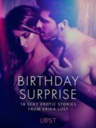 Birthday Surprise - 18 Sexy Erotic Stories from Erika Lust (e-kniha)