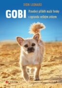 Gobi (e-kniha)
