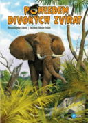 Pohledem divokých zvířat (e-kniha)