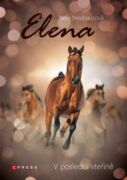Elena: V poslední vteřině (e-kniha)