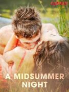 A Midsummer Night (e-kniha)