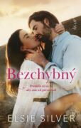 Bezchybný (e-kniha)