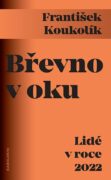 Břevno v oku (e-kniha)