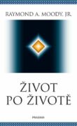 Život po životě (e-kniha)