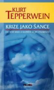 Krize jako šance (e-kniha)