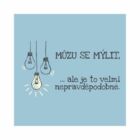 Pánské tričko - Můžu se mýlit, vel. L