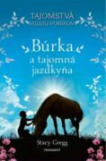 Búrka a tajomná jazdkyňa (e-kniha)