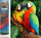 Diamantové malování Barevní papoušci 30x40cm