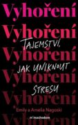 Vyhoření: Tajemství, jak uniknout stresu (e-kniha)