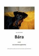 Bára - aneb (ve) vlastnictví jagdteriérky