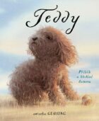 Teddy - Příběh o nalezení domova