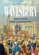 Wavesbury (e-kniha)