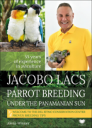 Jacobo Lacs Parrot breeding under the Panamanian sun