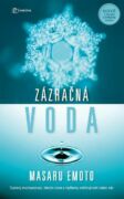 Zázračná voda (e-kniha)